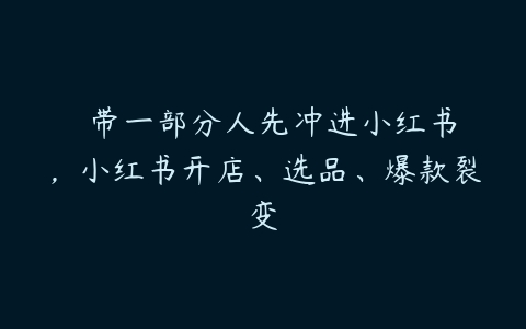 ​​带一部分人先冲进小红书，小红书开店、选品、爆款裂变-51自学联盟