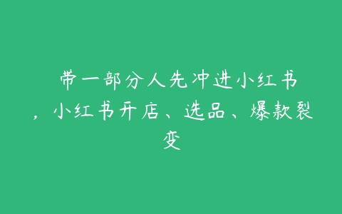 ​​带一部分人先冲进小红书，小红书开店、选品、爆款裂变百度网盘下载