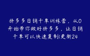 拼多多日销千单训练营，从0开始带你做好拼多多，让日销千单可以快速复制(更新24年9月)-51自学联盟