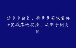 拼多多会员，拼多多实战宝典+实战落地实操，从新手到高阶-51自学联盟