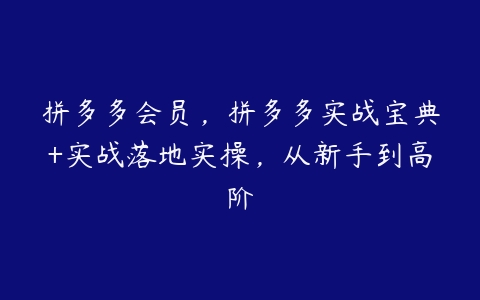 图片[1]-拼多多会员，拼多多实战宝典+实战落地实操，从新手到高阶-本文