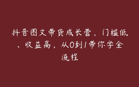 抖音图文带货成长营，门槛低、收益高，从0到1带你学全流程百度网盘下载