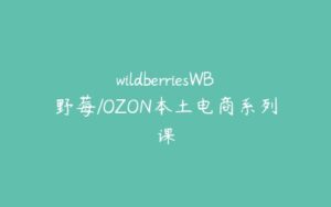 wildberriesWB野莓/OZON本土电商系列课-51自学联盟