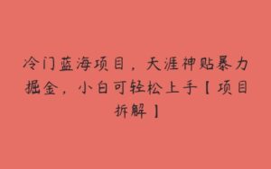 冷门蓝海项目，天涯神贴暴力掘金，小白可轻松上手【项目拆解】-51自学联盟