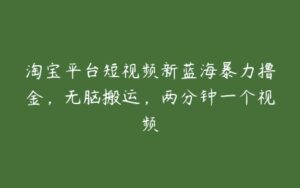 淘宝平台短视频新蓝海暴力撸金，无脑搬运，两分钟一个视频-51自学联盟