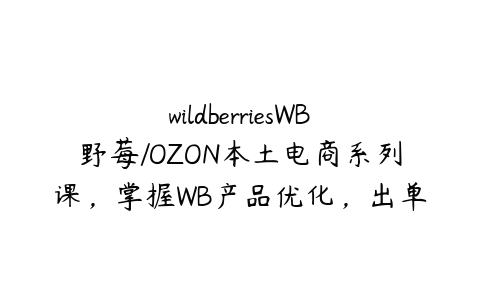 wildberriesWB野莓/OZON本土电商系列课，掌握WB产品优化，出单技巧和订单处理等百度网盘下载