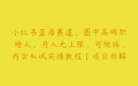 小红书蓝海赛道，圈中高端职场人，月入无上限，可矩阵，内含私域实操教程【项目拆解】百度网盘下载