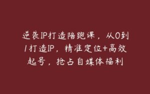 逆袭IP打造陪跑课，从0到1打造IP，精准定位+高效起号，抢占自媒体福利-51自学联盟