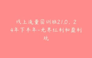 线上流量密训班21.0，24年下半年-无界红利和盈利玩-51自学联盟