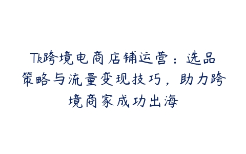 Tk跨境电商店铺运营：选品策略与流量变现技巧，助力跨境商家成功出海百度网盘下载