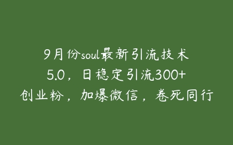 9月份soul最新引流技术5.0，日稳定引流300+创业粉，加爆微信，卷死同行【项目拆解】百度网盘下载