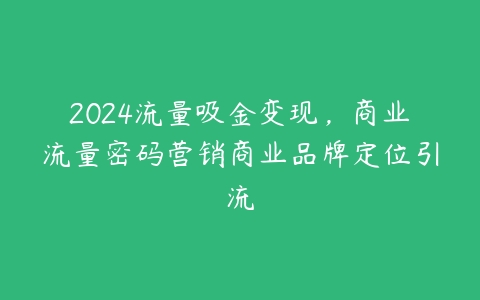 2024流量吸金变现，商业流量密码营销商业品牌定位引流百度网盘下载