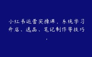 小红书运营实操课，系统学习开店、选品、笔记制作等技巧，-51自学联盟