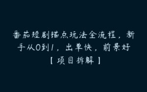 番茄短剧锚点玩法全流程，新手从0到1，出单快，前景好【项目拆解】-51自学联盟