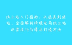 独立站入门指南：从选品到建站，全面解析跨境电商独立站运营技巧与爆品打造方法-51自学联盟