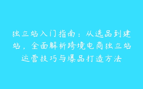 独立站入门指南：从选品到建站，全面解析跨境电商独立站运营技巧与爆品打造方法-51自学联盟