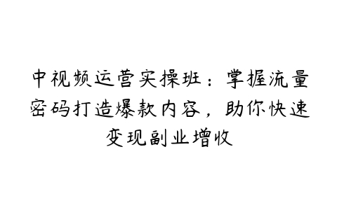 中视频运营实操班：掌握流量密码打造爆款内容，助你快速变现副业增收百度网盘下载