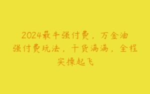 2024最牛强付费，万金油强付费玩法，干货满满，全程实操起飞-51自学联盟