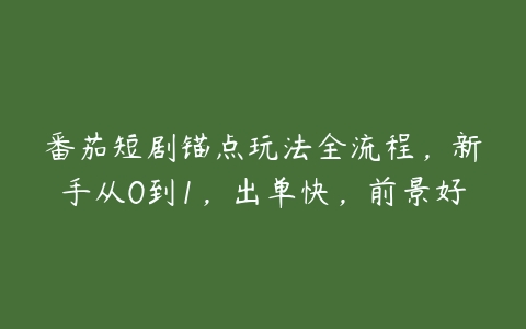 番茄短剧锚点玩法全流程，新手从0到1，出单快，前景好百度网盘下载