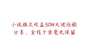 小说推文收益30W大佬经验分享，全程干货毫无保留-51自学联盟