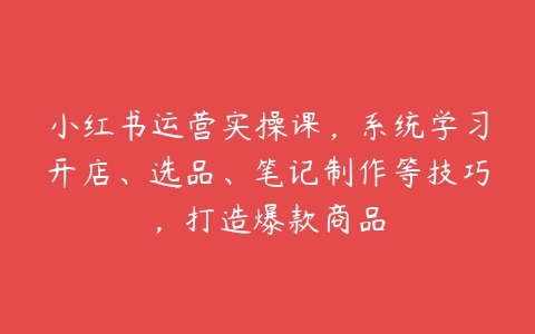 小红书运营实操课，系统学习开店、选品、笔记制作等技巧，打造爆款商品-51自学联盟