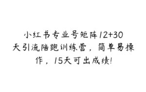 小红书专业号矩阵12+30天引流陪跑训练营，简单易操作，15天可出成绩!-51自学联盟