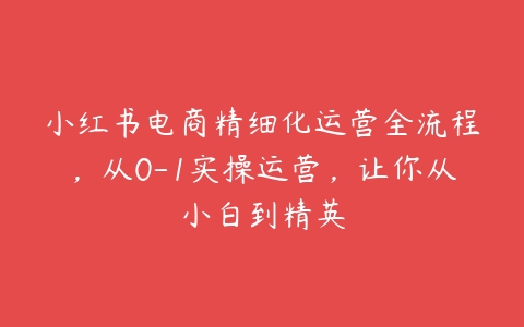 图片[1]-小红书电商精细化运营全流程，从0-1实操运营，让你从小白到精英-本文