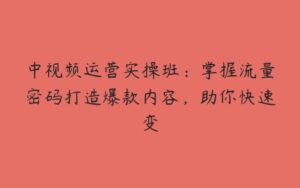 中视频运营实操班：掌握流量密码打造爆款内容，助你快速变-51自学联盟