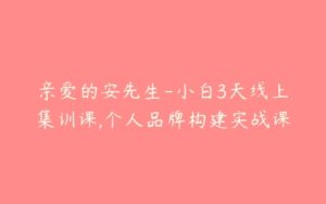 亲爱的安先生-小白3天线上集训课,个人品牌构建实战课-51自学联盟