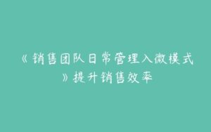 《销售团队日常管理入微模式》提升销售效率-51自学联盟