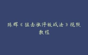 陈辉《狙击涨停板战法》视频教程-51自学联盟