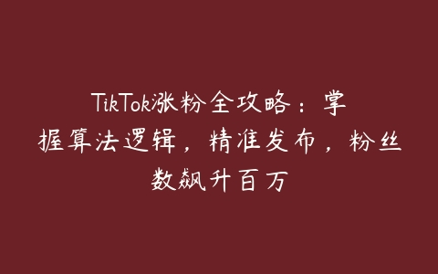 TikTok涨粉全攻略：掌握算法逻辑，精准发布，粉丝数飙升百万百度网盘下载