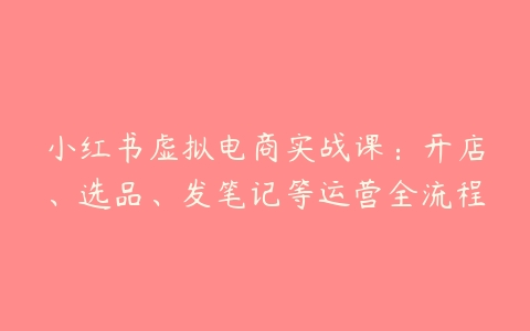 小红书虚拟电商实战课：开店、选品、发笔记等运营全流程-51自学联盟