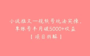 小说推文—视频号玩法实操，单账号半月破5000+收益【项目拆解】-51自学联盟