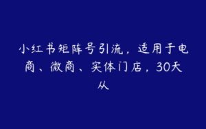 小红书矩阵号引流，适用于电商、微商、实体门店，30天从-51自学联盟