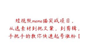 短视频meme猫实战项目，从选素材到把文案，到剪辑，手把手的教你快速起号涨粉【项目拆解】-51自学联盟