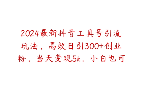 2024最新抖音工具号引流玩法，高效日引300+创业粉，当天变现5k，小白也可成为实战高手【项目拆解】百度网盘下载