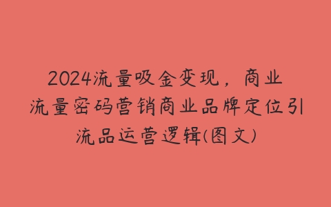 2024流量吸金变现，商业流量密码营销商业品牌定位引流品运营逻辑(图文)-51自学联盟