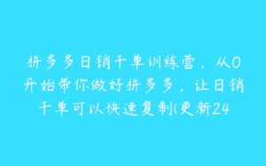 拼多多日销千单训练营，从0开始带你做好拼多多，让日销千单可以快速复制(更新24年10月)-51自学联盟