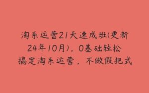 淘系运营21天速成班(更新24年10月)，0基础轻松搞定淘系运营，不做假把式-51自学联盟