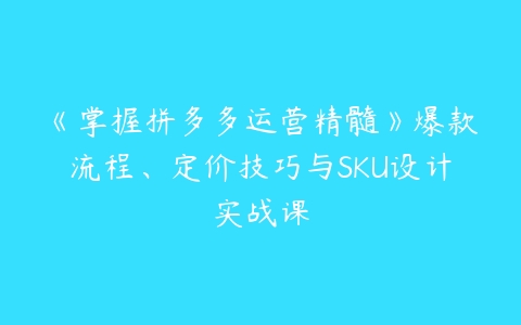 《掌握拼多多运营精髓》爆款流程、定价技巧与SKU设计实战课-51自学联盟