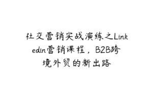 社交营销实战演练之Linkedin营销课程，B2B跨境外贸的新出路-51自学联盟