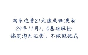 淘系运营21天速成班(更新24年11月)，0基础轻松搞定淘系运营，不做假把式-51自学联盟