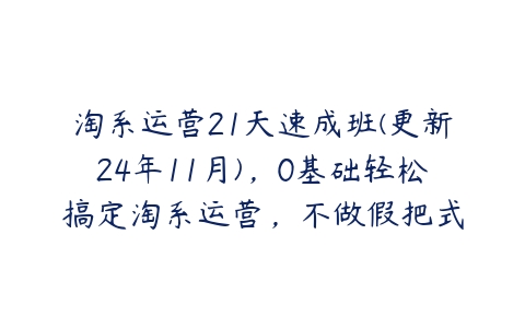 淘系运营21天速成班(更新24年11月)，0基础轻松搞定淘系运营，不做假把式百度网盘下载