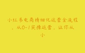 小红书电商精细化运营全流程，从0-1实操运营，让你从小-51自学联盟