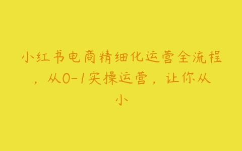 小红书电商精细化运营全流程，从0-1实操运营，让你从小百度网盘下载