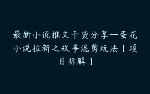 最新小说推文干货分享—蛋花小说拉新之故事混剪玩法【项目拆解】-51自学联盟