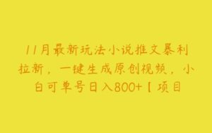 11月最新玩法小说推文暴利拉新，一键生成原创视频，小白可单号日入800+【项目拆解】-51自学联盟