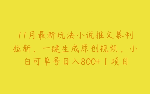 11月最新玩法小说推文暴利拉新，一键生成原创视频，小白可单号日入800+【项目拆解】百度网盘下载