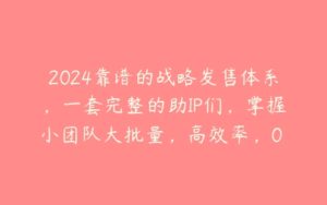 2024靠谱的战略发售体系，一套完整的助IP们，掌握小团队大批量，高效率，0 强销的运营系统-51自学联盟